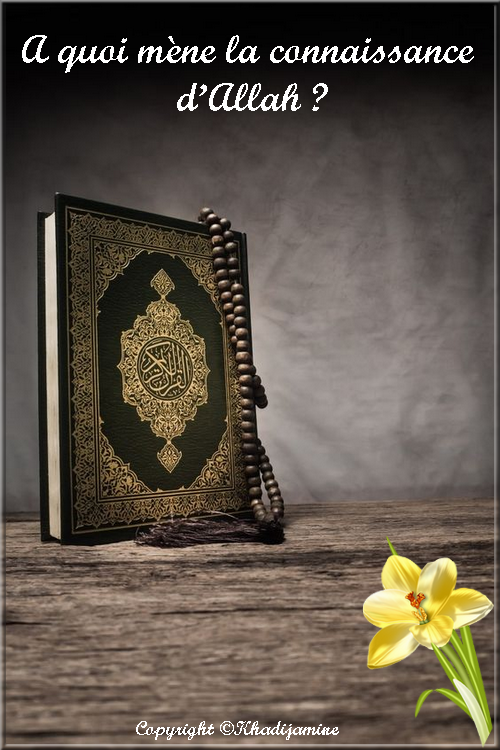 découvrez le concept d'allah, une exploration approfondie de la nature divine dans l'islam, ses attributs, sa signification pour les croyants et son impact sur la spiritualité islamique. plongez dans les enseignements, les traditions et les réflexions philosophiques autour de cette notion essentielle.