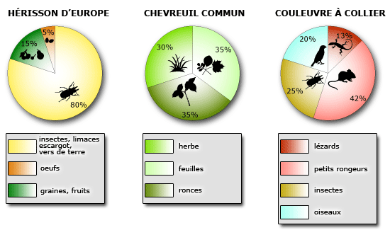 découvrez comment répondre aux besoins alimentaires de vos animaux pour garantir leur santé et leur bien-être. apprenez à choisir les meilleures nourritures adaptées à chaque espèce et à chaque étape de leur vie.