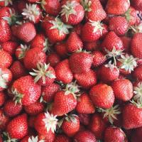 découvrez les incroyables bienfaits des fraises pour votre santé en 2025. riches en vitamines, antioxydants et fibres, ces petits fruits rouges sont idéaux pour booster votre immunité, améliorer votre digestion et prendre soin de votre cœur. apprenez comment intégrer les fraises dans votre alimentation pour une vie plus saine.