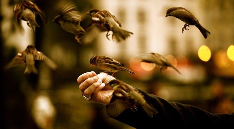 découvrez le concept de tawakkul en 2025, une exploration de la confiance en allah et de son application dans un monde en constante évolution. apprenez comment cette philosophie spirituelle peut influencer votre vie quotidienne, renforcer votre résilience et guider votre chemin vers l'épanouissement personnel.