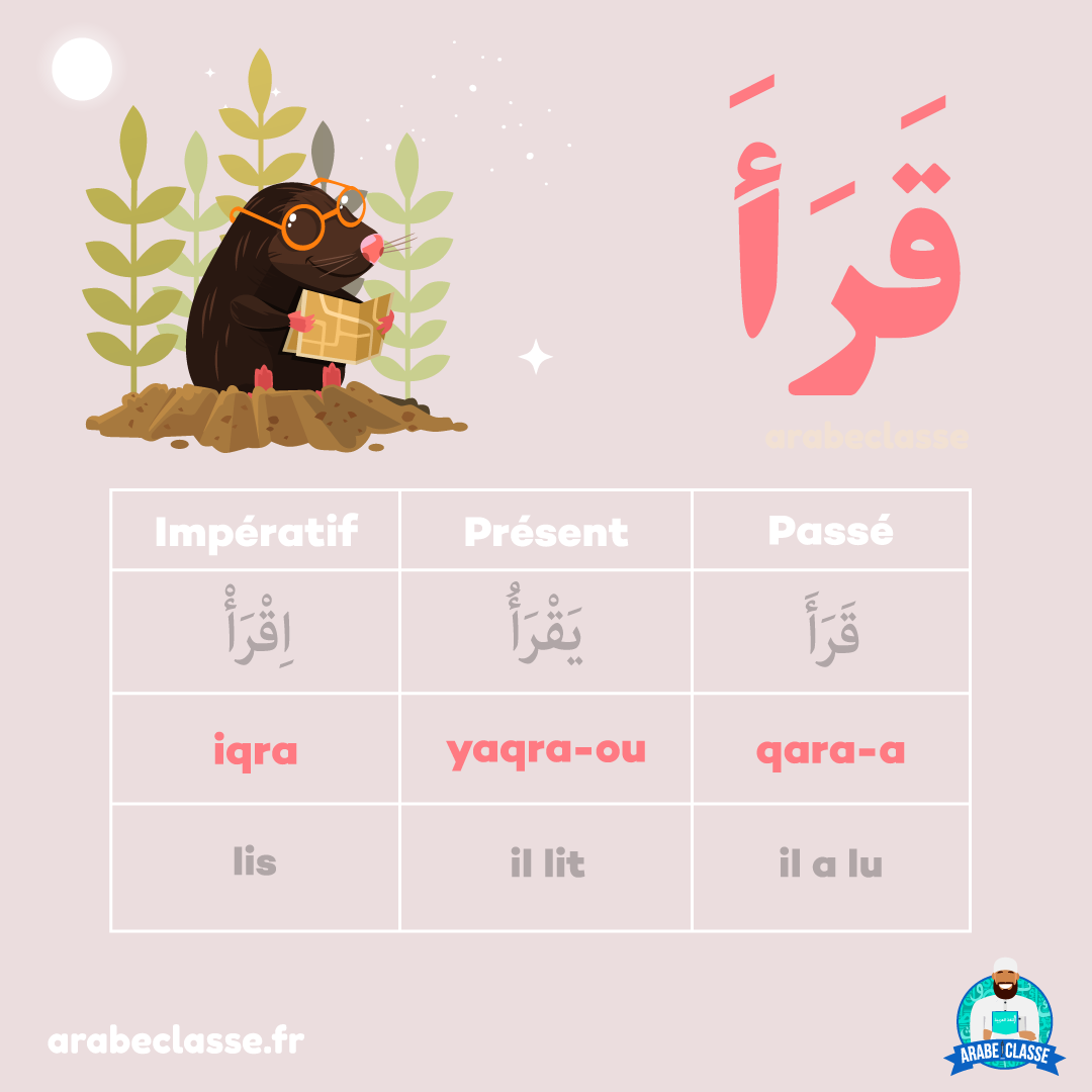 découvrez tout sur le verbe 'dire' en arabe : conjugaison, utilisation et exemples pratiques pour améliorer votre maîtrise de la langue. apprenez à exprimer vos pensées avec précision en arabe!