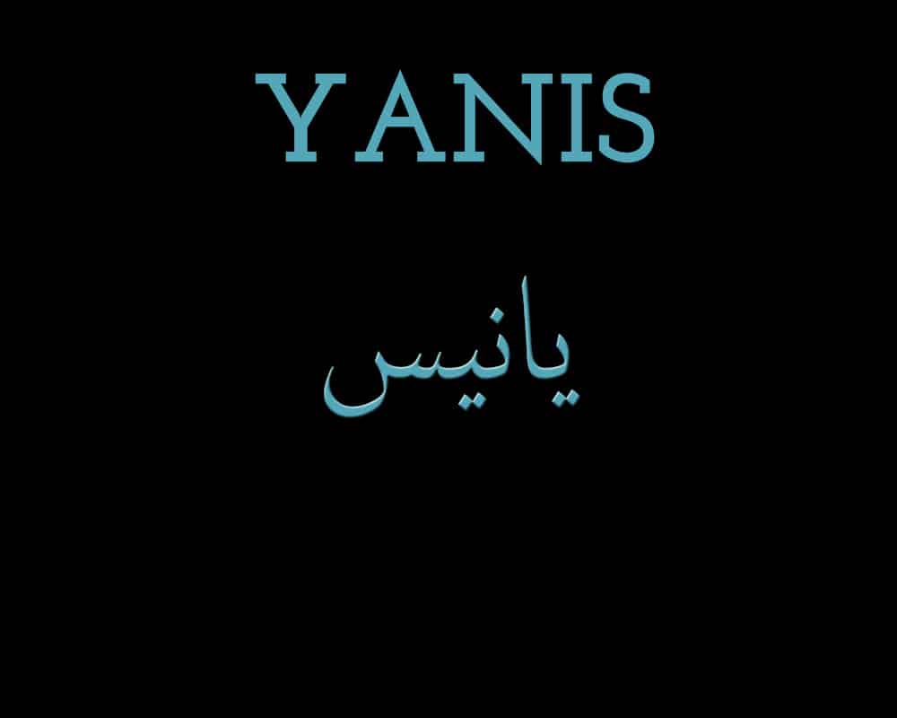 découvrez la signification du prénom yanis, un prénom arabe riche en histoire et en culture. plongez dans ses origines et ses vertus, et explorez ce qui fait de yanis un prénom unique et apprécié.