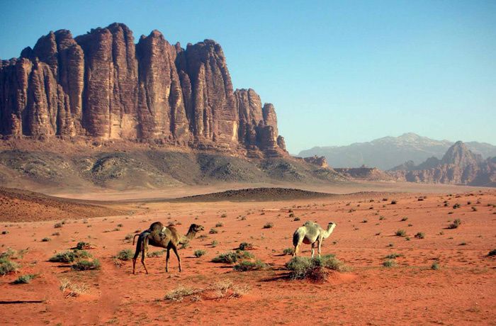 découvrez la vie fascinante de zayd ibn harithah, compagnon du prophète mohammad, dont l'amour, la loyauté et les contributions à l'islam ont marqué l'histoire. plongez dans son parcours inspirant et son rôle essentiel dans la propagation de la foi.