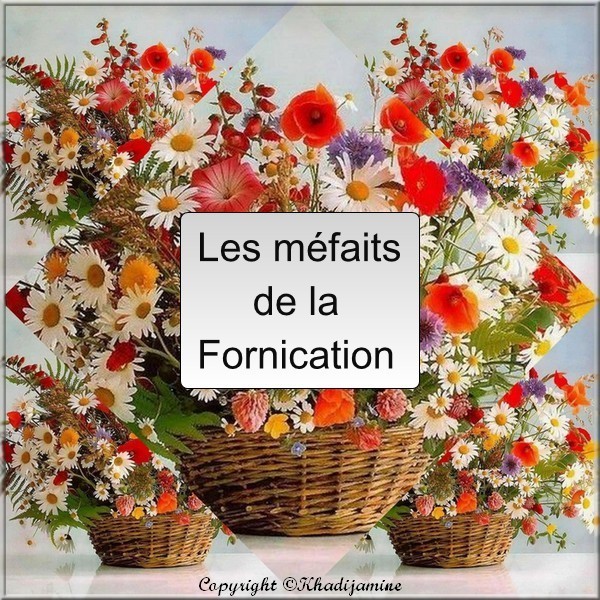 découvrez la définition du terme 'fornicateur', son origine, son utilisation et sa signification en français. explications simples et exemples pour mieux comprendre ce mot peu courant.