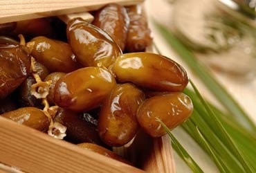 découvrez l'importance du sahour en 2025 : conseils, bienfaits et astuces pour bien débuter vos journées pendant le ramadan et profiter d'une énergie optimale.