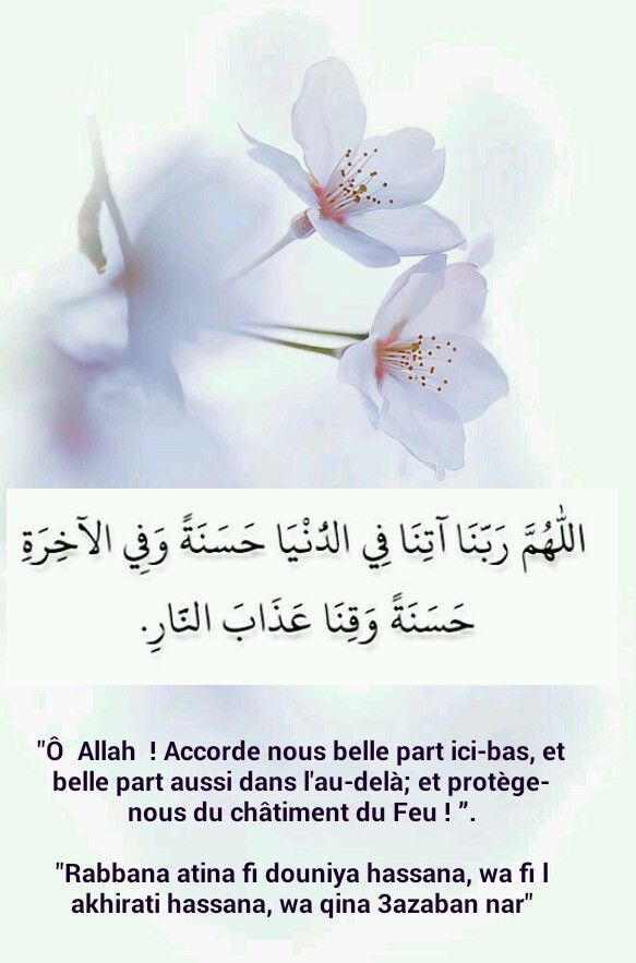 découvrez le sens et l'importance de la douaa en islam, comment formuler une invocation sincère et les meilleurs moments pour prier selon la tradition musulmane.