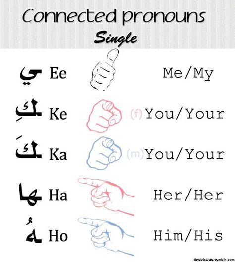 découvrez la signification et la traduction du mot 'frère' en arabe, ainsi que son écriture, sa prononciation et son utilisation dans la langue arabe.