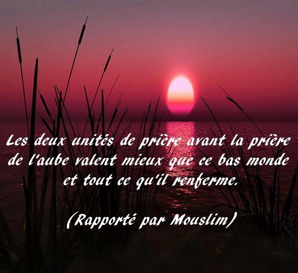 découvrez pourquoi la prière de fajr revêt une importance particulière dans l’islam, quels sont ses bienfaits spirituels et comment elle impacte positivement votre journée.