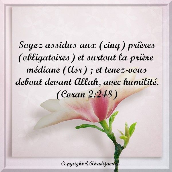 découvrez pourquoi la prière de l'asr est essentielle dans la pratique quotidienne, ses bienfaits spirituels et son impact sur la discipline personnelle.