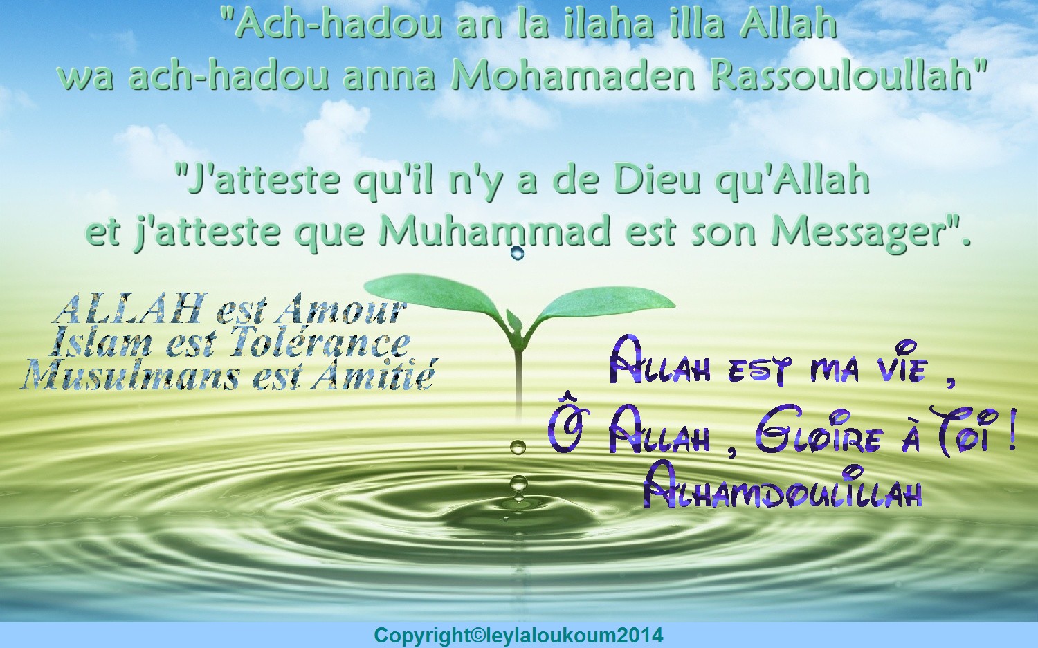 découvrez la signification profonde de la chahada en islam, la déclaration de foi essentielle qui affirme la croyance en l'unicité de dieu et en muhammad comme messager.