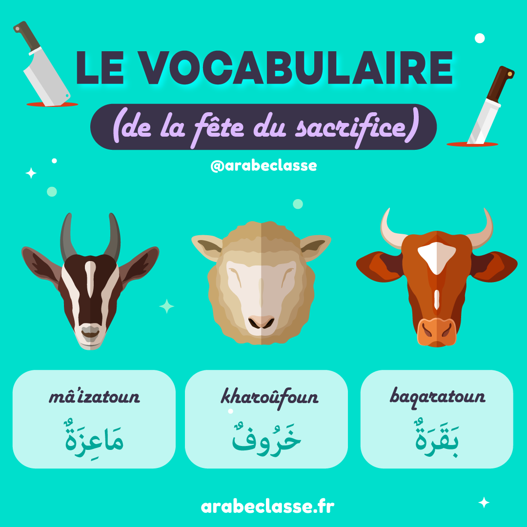 découvrez les caractéristiques des ânes en arabe, avec des descriptions détaillées de leur apparence, comportement et utilisation traditionnelle.