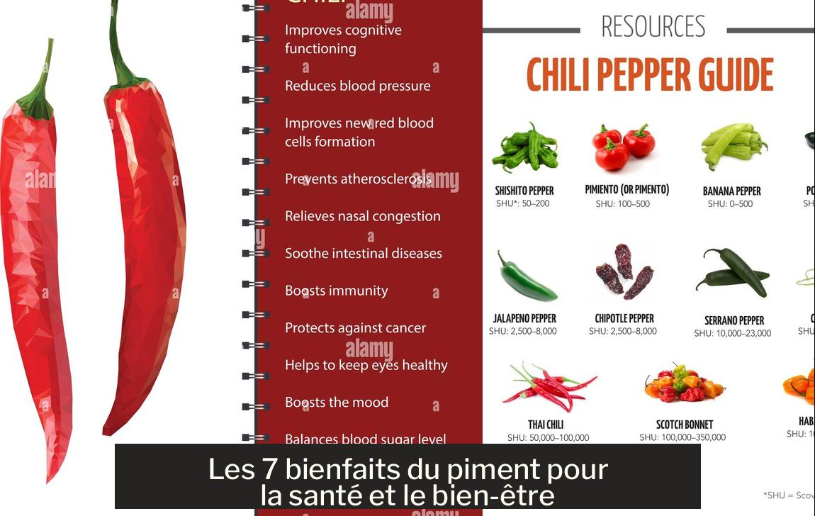 découvrez les bienfaits du chawal et explorez des recettes savoureuses pour 2025. apprenez à intégrer ce riz nutritif dans votre alimentation quotidienne.