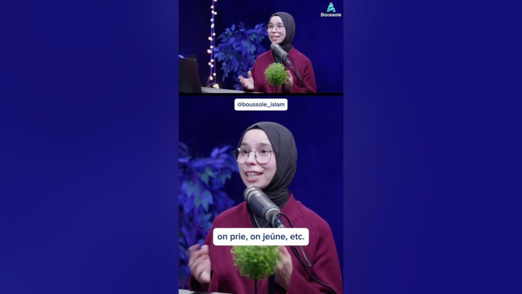 découvrez les principales différences entre les écoles islamiques, leurs enseignements, pratiques et origines pour mieux comprendre la diversité au sein de l'islam.