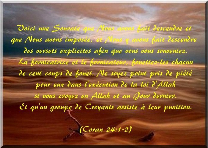 découvrez l'impact des hadiths sur la perception de la fornication dans la société, et comment ces enseignements influencent les comportements et les valeurs sociales.