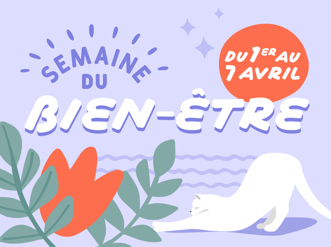 découvrez icha et bien-être 2025, votre guide complet pour une vie saine et équilibrée grâce aux meilleures pratiques et conseils bien-être.
