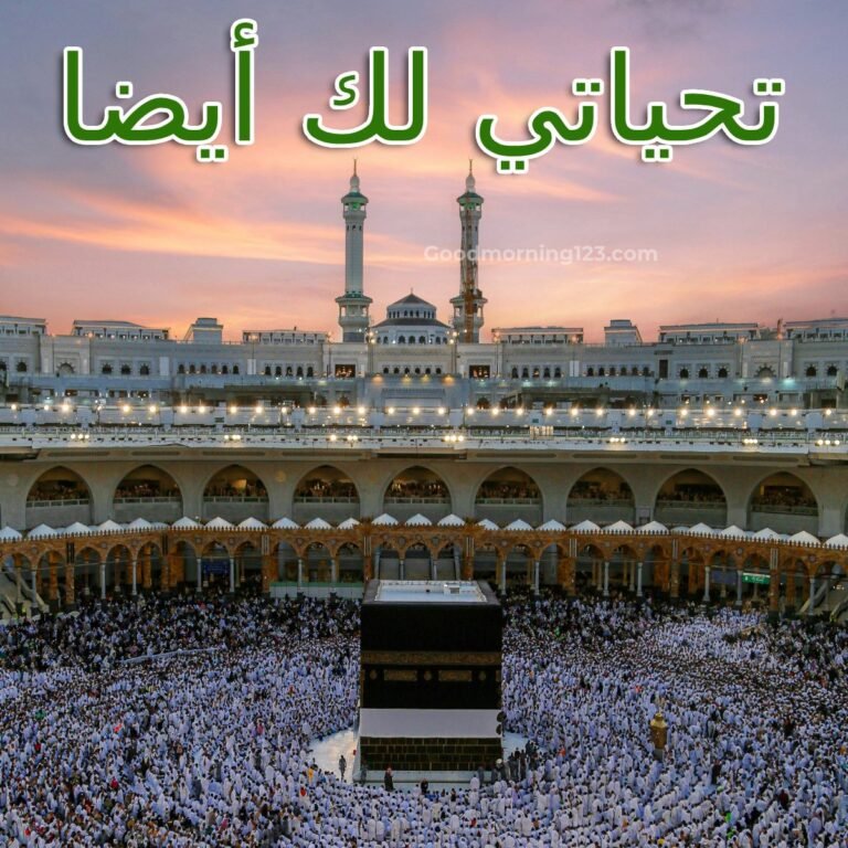 découvrez la signification de 'walaikum assalam' dans la culture musulmane, une réponse respectueuse et traditionnelle aux salutations islamiques, symbolisant paix et fraternité.