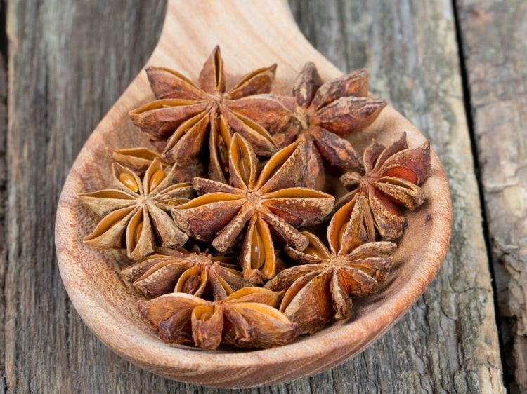 découvrez les bienfaits de l'anis vert et comment l'utiliser en cuisine arabe pour parfumer vos plats avec des saveurs authentiques et délicates.