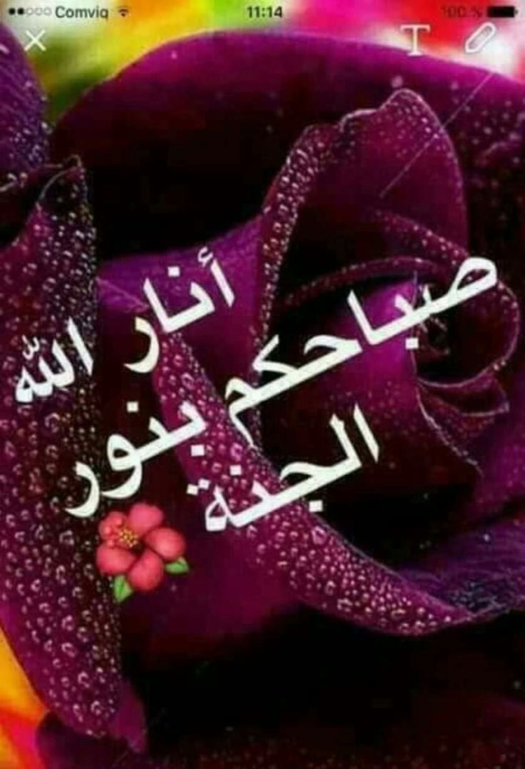 découvrez comment dire 'bonne soirée' en arabe avec des expressions courantes et leur prononciation pour souhaiter une agréable soirée à vos proches.