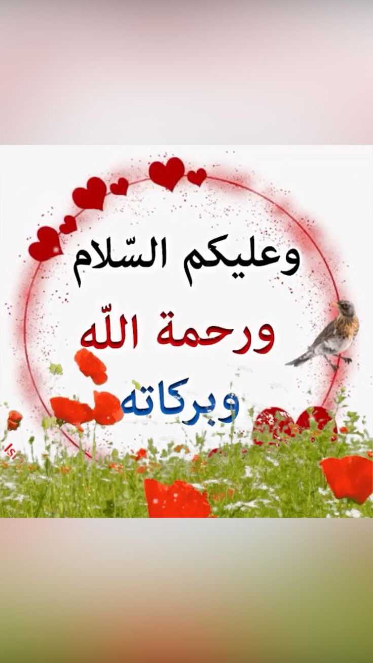 découvrez la signification profonde de 'assalamu alaikum wa rahmatullahi wa barakatuh', une salutation islamique pleine de paix, de miséricorde et de bénédictions divines.