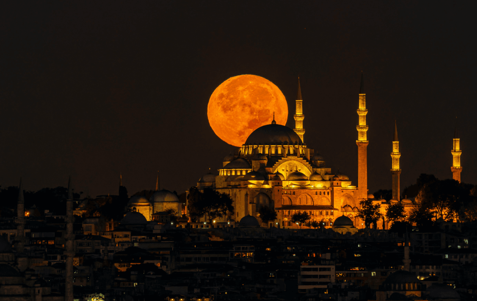 découvrez les perspectives et les enjeux de la dépression économique et sociale en 2025, intitulée 'waswas dépression 2025', pour mieux comprendre ses impacts.